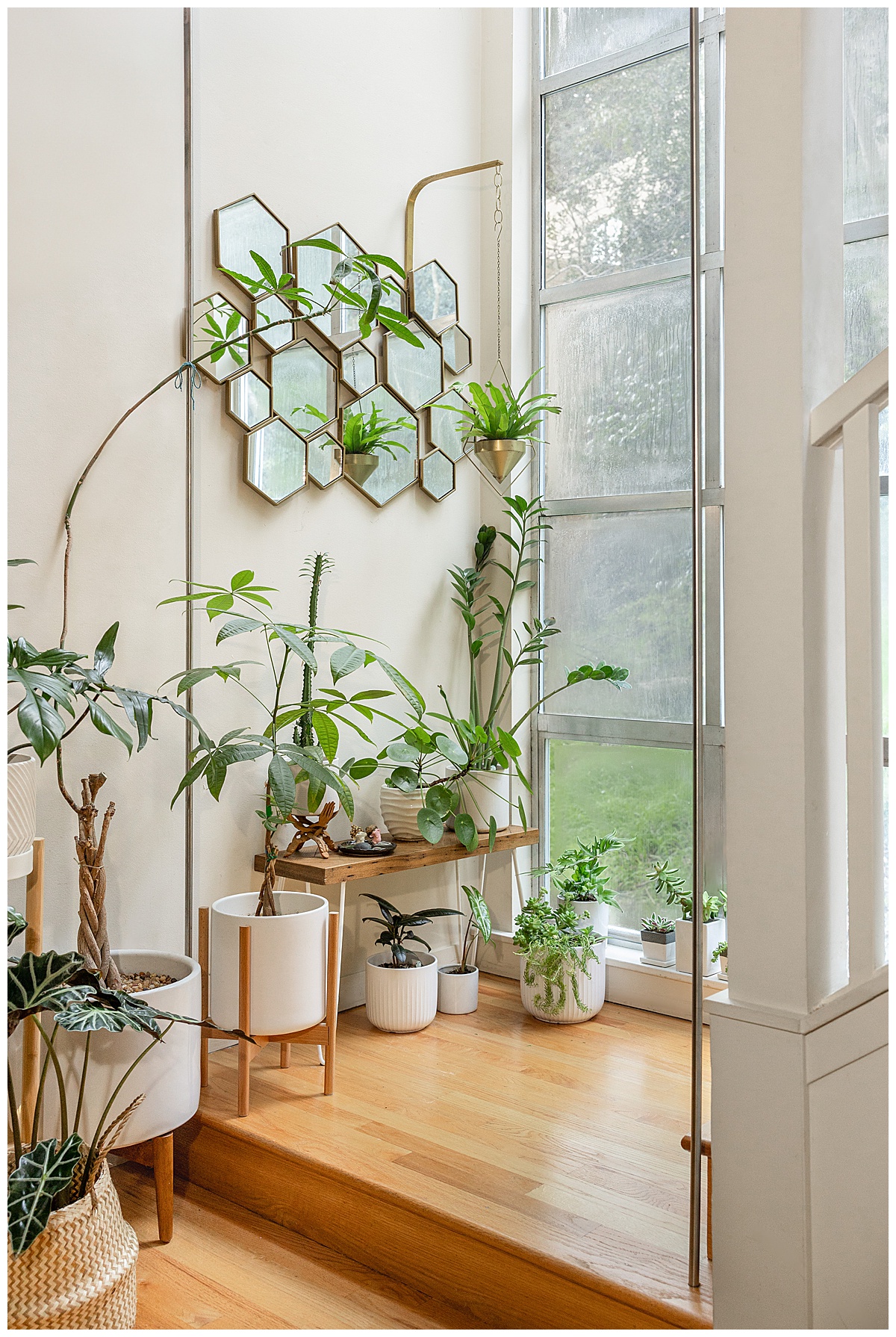 Beautiful Interior Design Photography showing off gorgeous plants